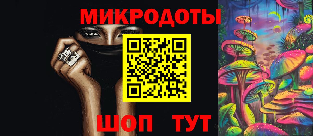 Галлюциногенные грибы Psilocybe Дербент