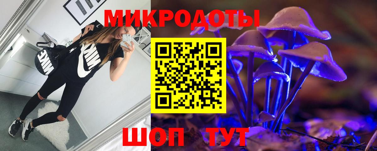 Псилоцибиновые грибы Psilocybe  Вход с VPN  Дербент 